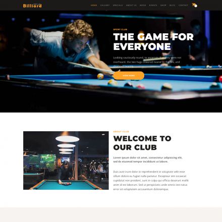 ThemeForest Billiard