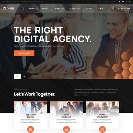 ThemeForest Disle