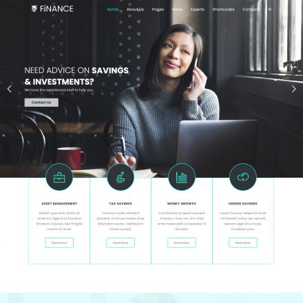 ThemeForest Finance Consultant