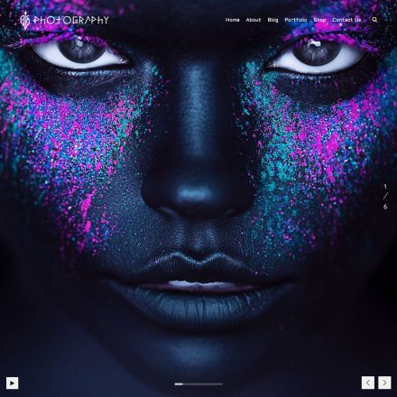 ThemeForest FullScreen Artist