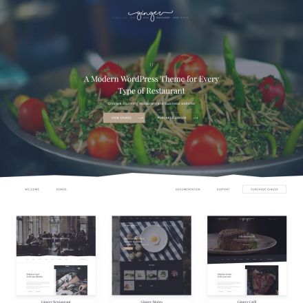 ThemeForest Ginger