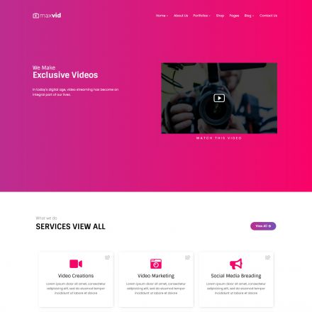 ThemeForest MaxVid