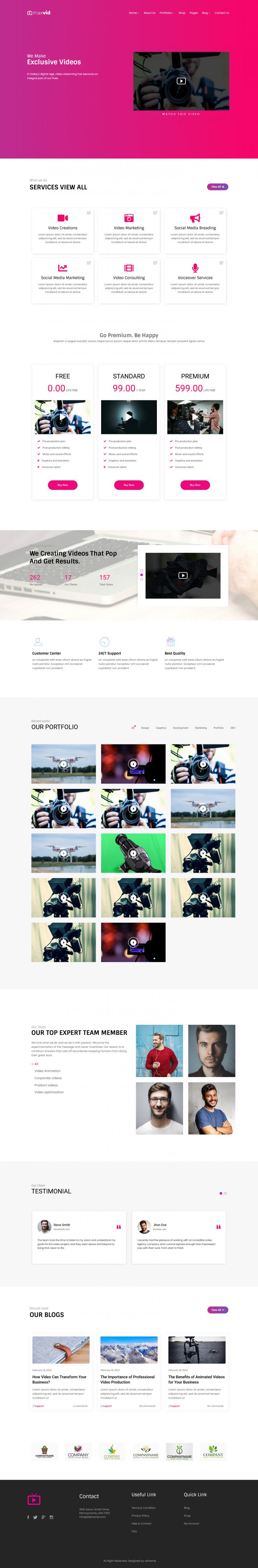 WordPress шаблон ThemeForest MaxVid