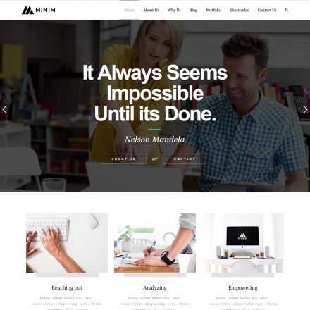 ThemeForest Minim