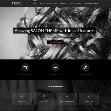 ThemeForest Neo Salon