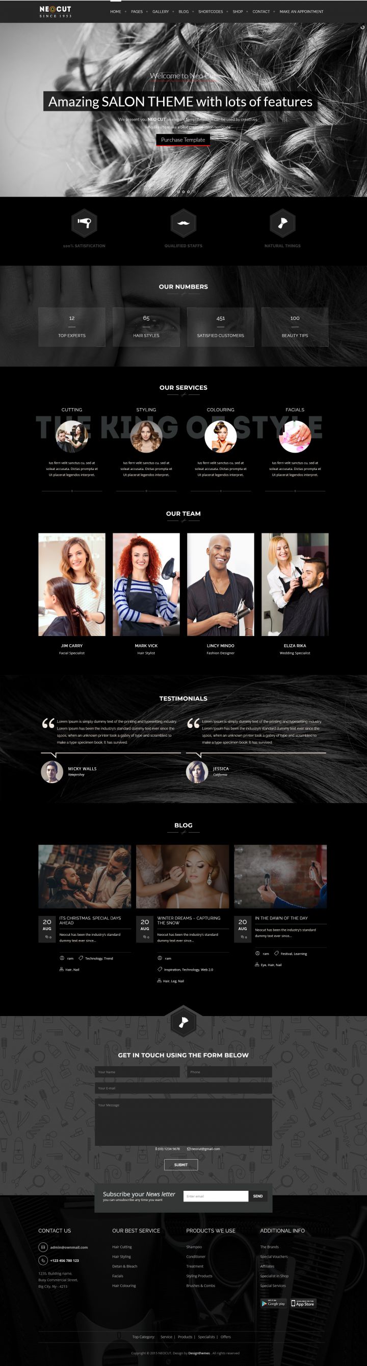 WordPress шаблон ThemeForest Neo Salon