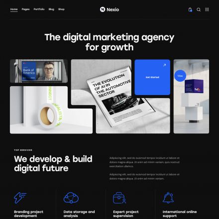 ThemeForest Nexio