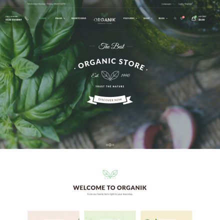 ThemeForest Organik