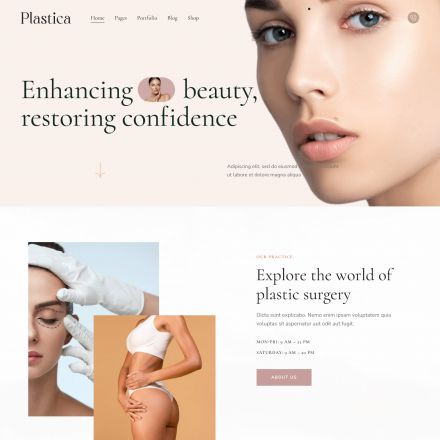 ThemeForest Plastica