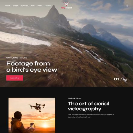 ThemeForest Skyward