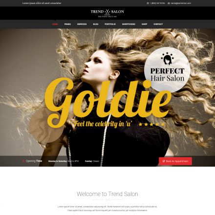 ThemeForest Trend Salon