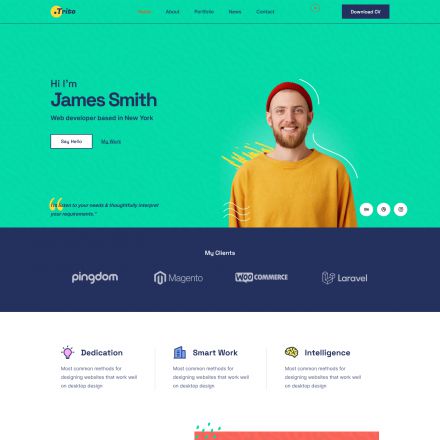 ThemeForest Trito