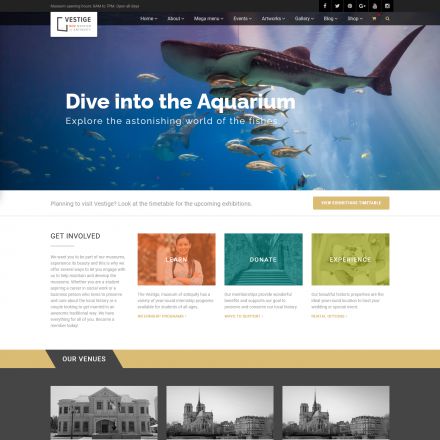 ThemeForest Vestige