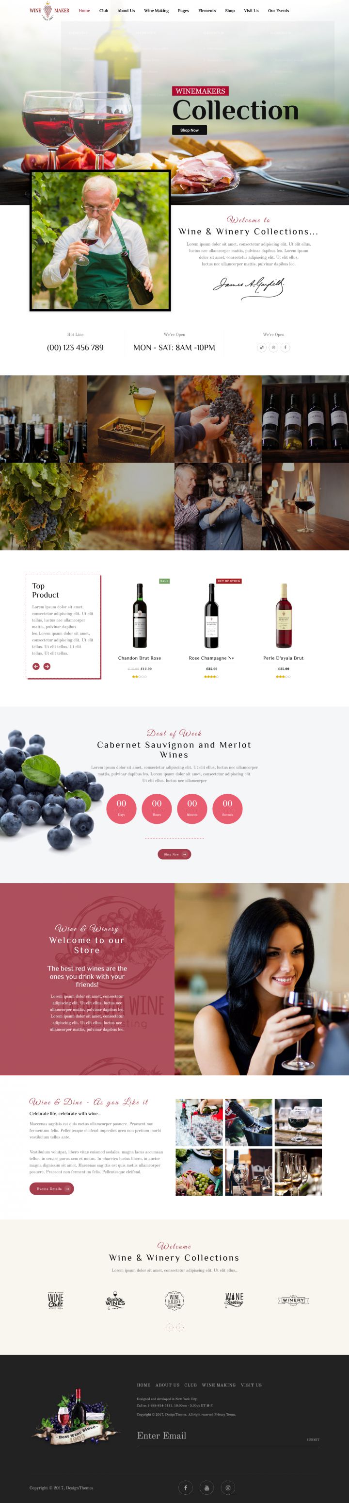 WordPress шаблон ThemeForest Wine Maker