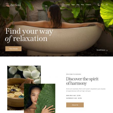 ThemeForest ZenSoul