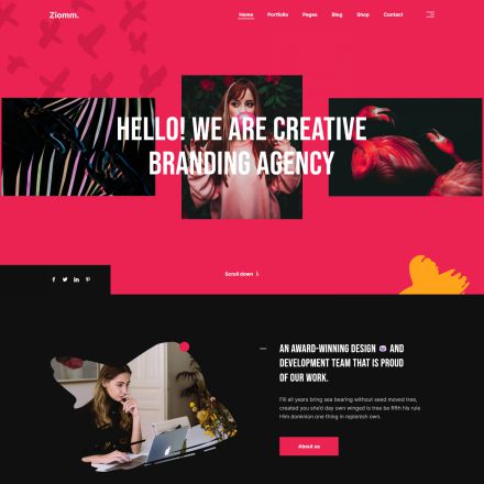 ThemeForest Ziomm