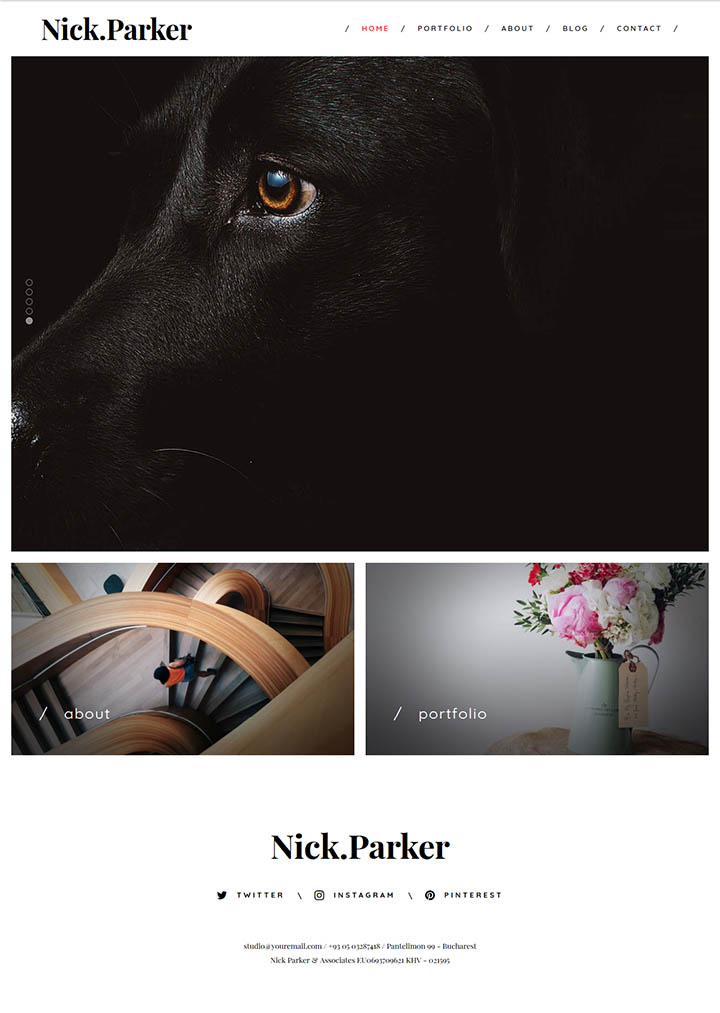 WordPress шаблон ThemeFuse Nick Parker