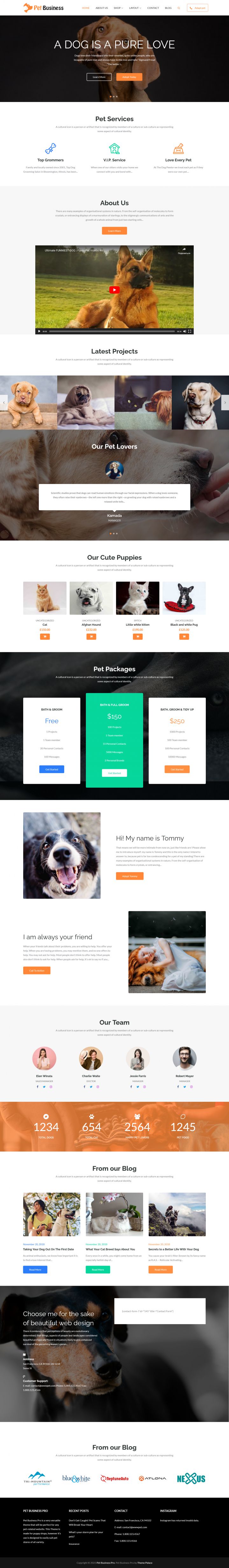 WordPress шаблон Theme Palace Pet Business Pro