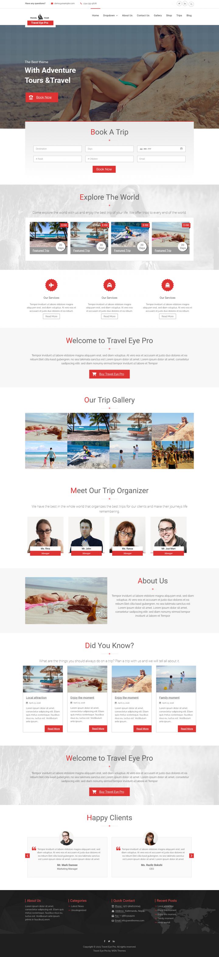 WordPress шаблон Theme Palace Travel Eye Pro