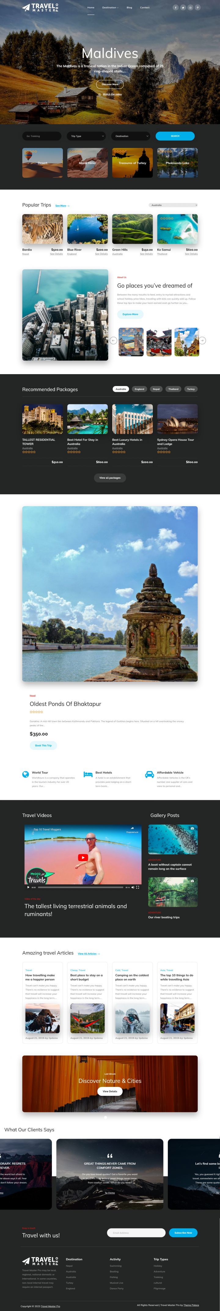 WordPress шаблон Theme Palace Travel Master Pro