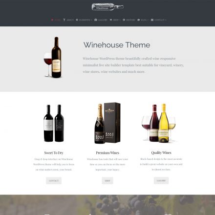 Visualmodo Winehouse