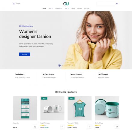 WP Zone Divi WooCommerce Store