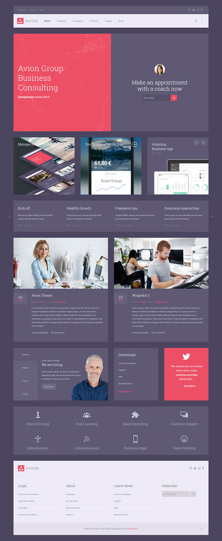 WordPress шаблон YOOtheme Avion