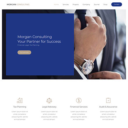 YOOtheme Morgan Consulting