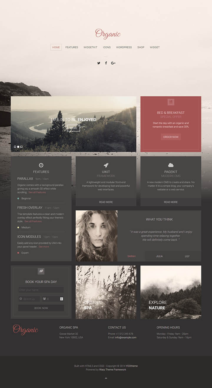 WordPress шаблон YOOtheme Organic