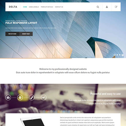 EnergizeThemes Delta