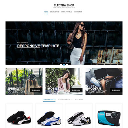 EnergizeThemes Electra Shop