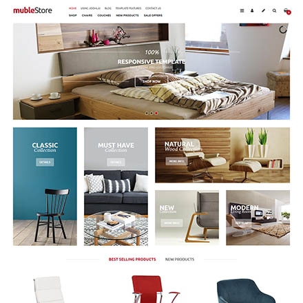 EnergizeThemes Muble Store