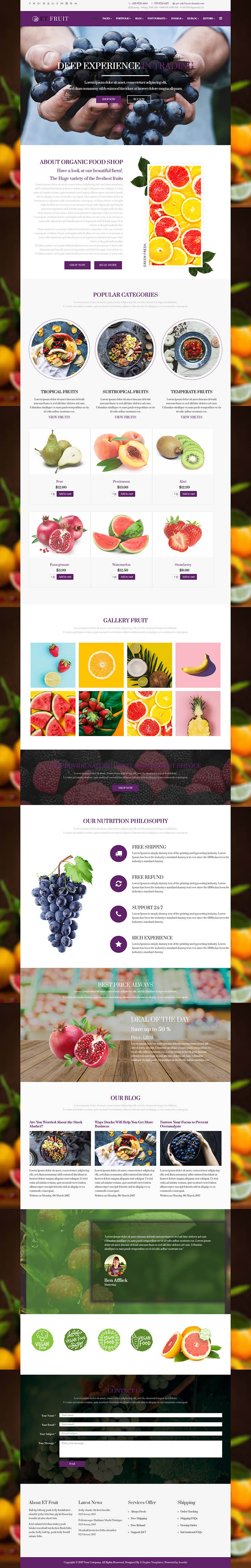 Joomla шаблон EngineTemplates Fruit