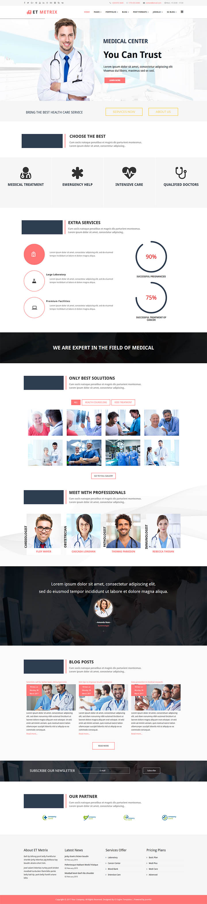 Joomla шаблон EngineTemplates Metrix