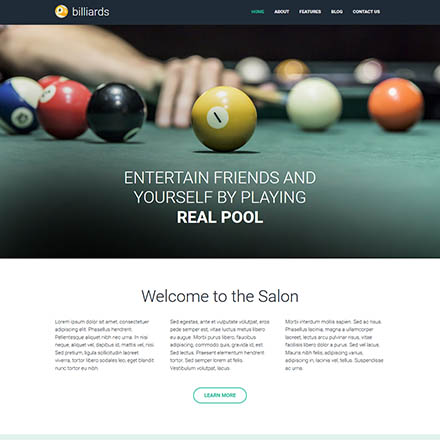 HotThemes Billiards