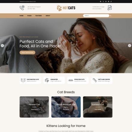 HotThemes Cats