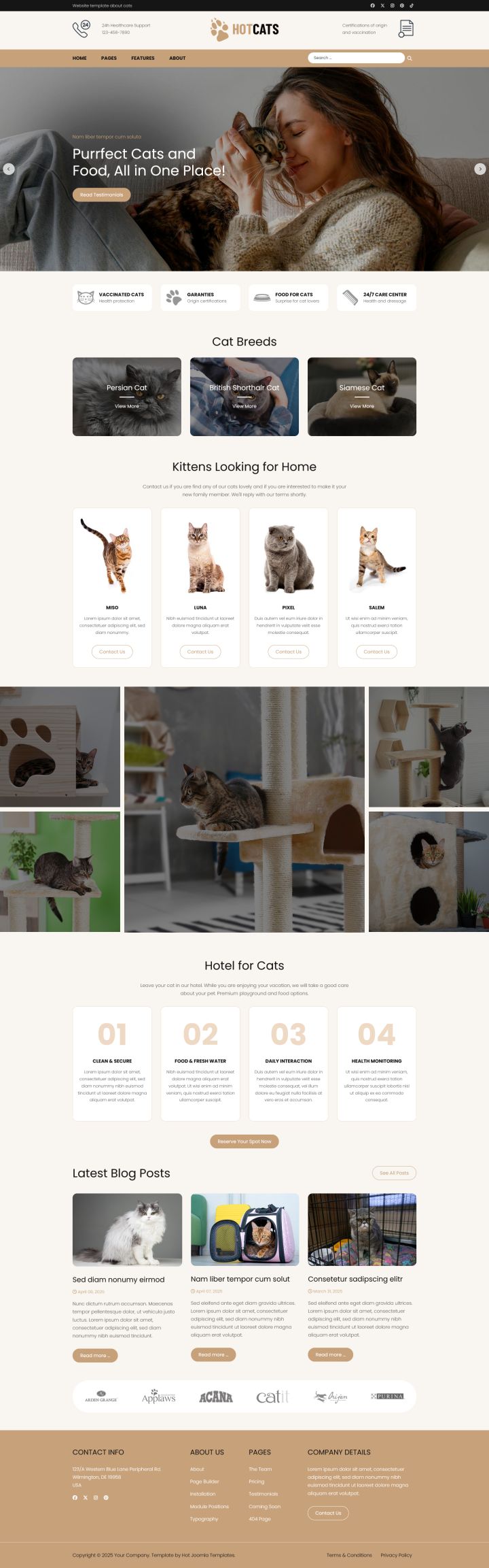 Joomla шаблон HotThemes Cats