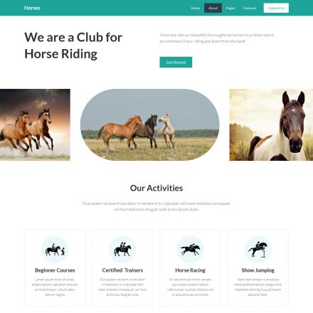 HotThemes Horses