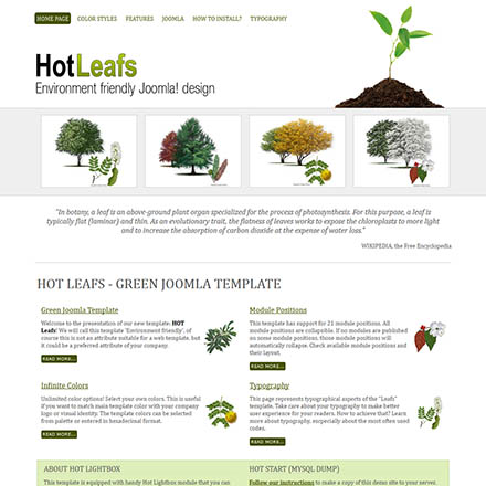 HotThemes Leafs