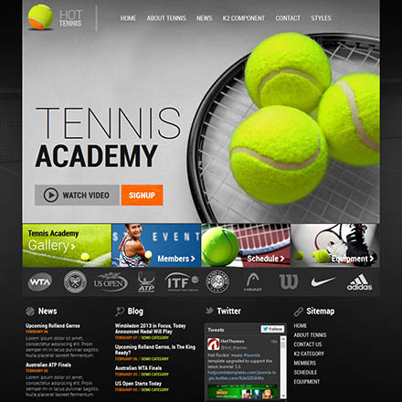 HotThemes Tennis