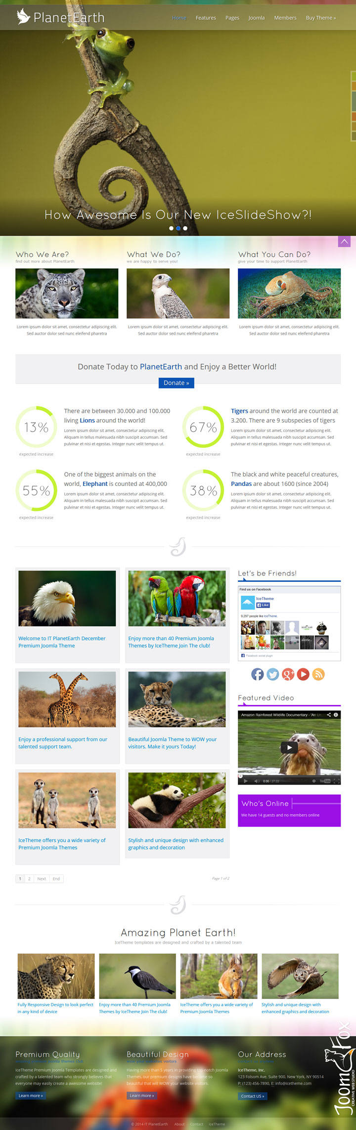 Joomla шаблон IceTheme PlanetEarth