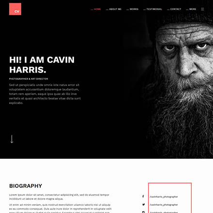 JoomlArt Resume