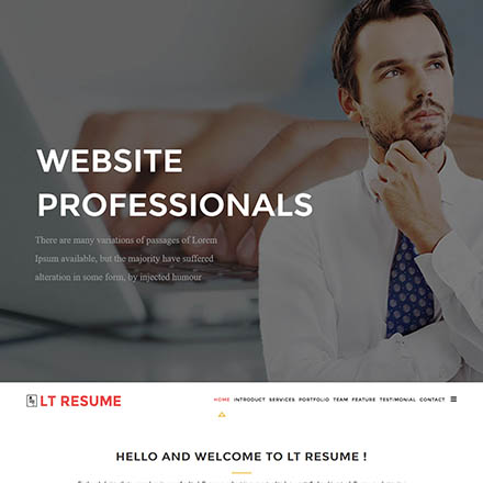 LTheme Resume Onepage