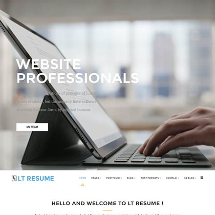 LTheme Resume