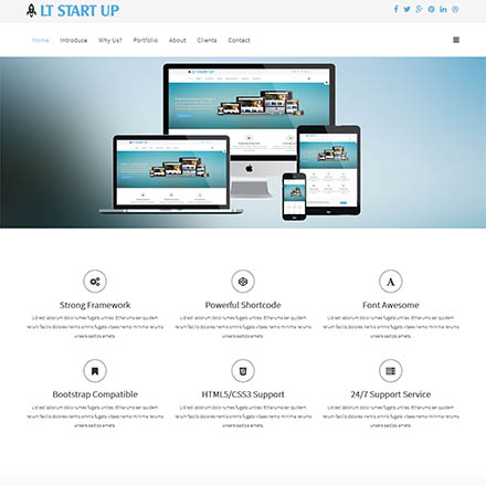 LTheme Start Up Onepage