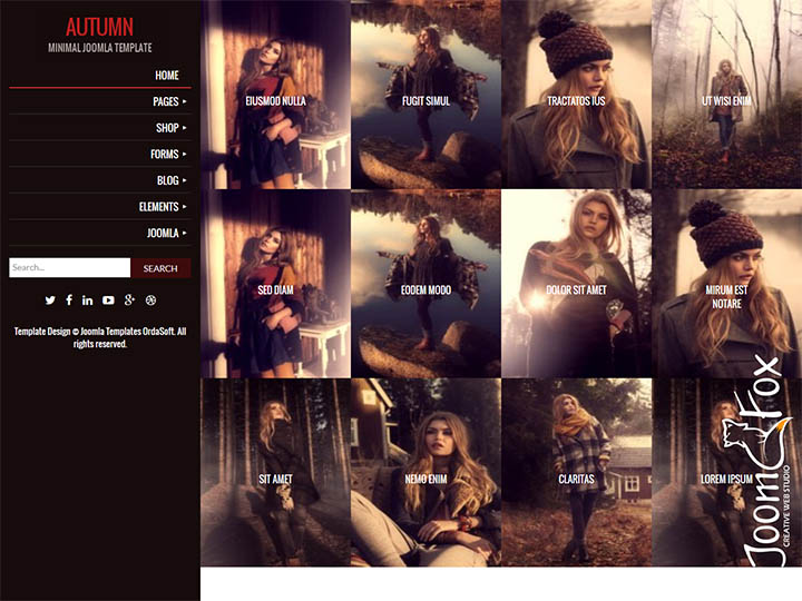 Joomla шаблон OrdaSoft Autumn