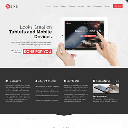 ThemeForest Aaika