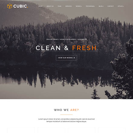 ThemeForest Cubic