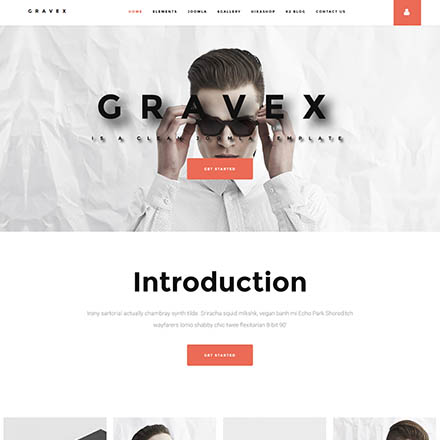 ThemeForest Gravex