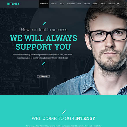 ThemeForest Intensy